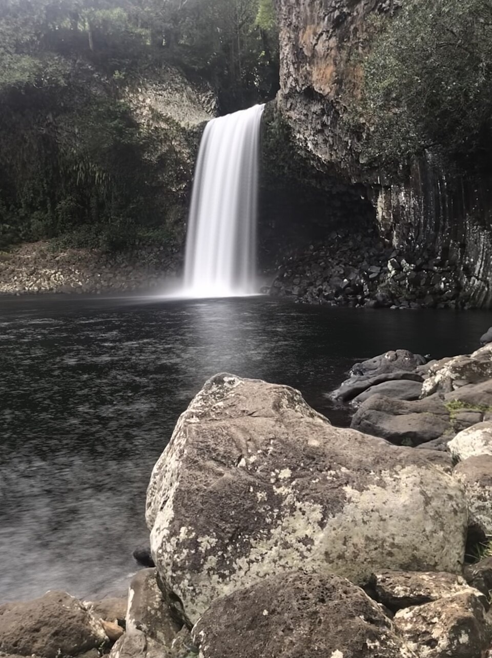 Bassin La Paix, côté Bras-Panon