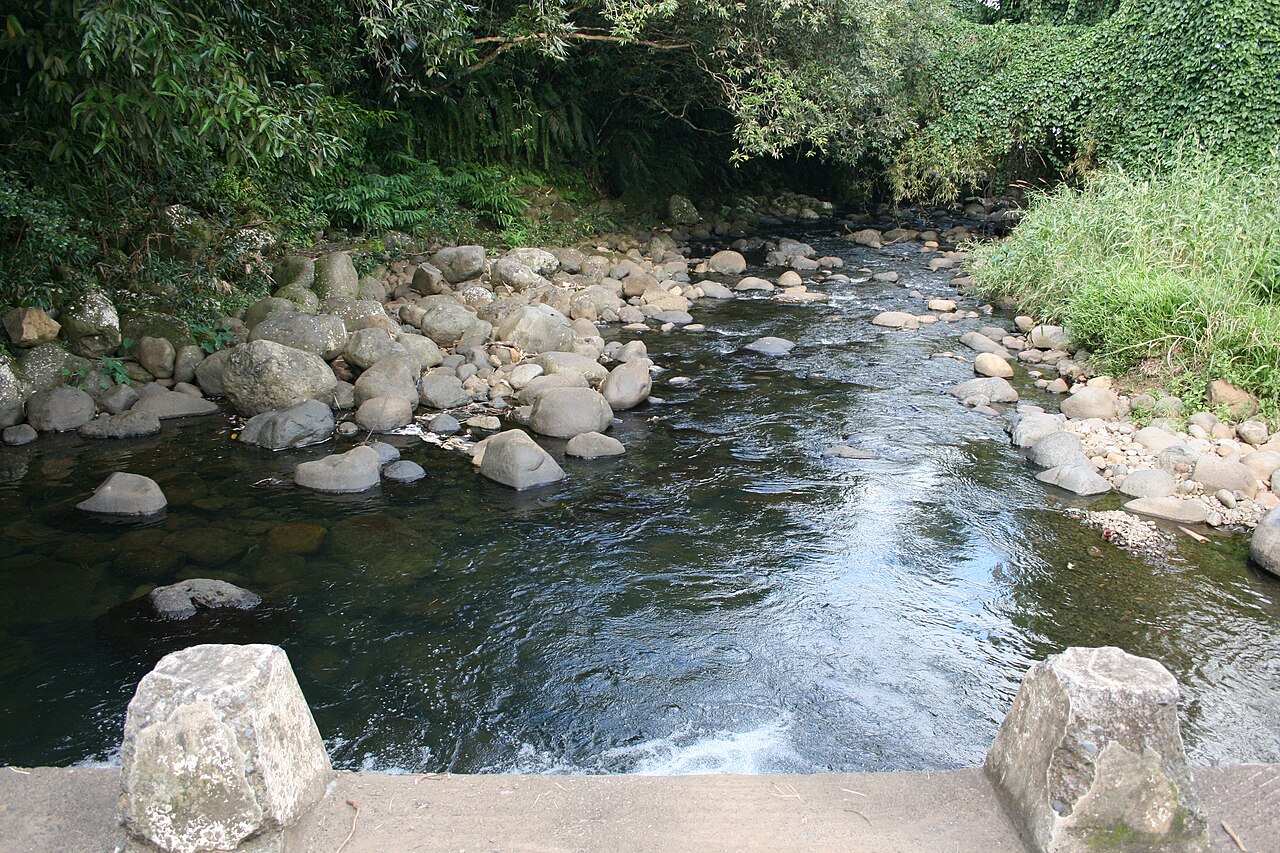 La rivière Bras-Panon, vue depuis un radier