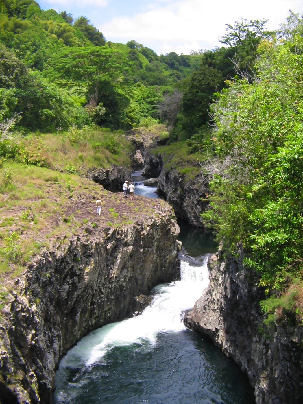 La Rivière des Roches près de Bassin La Paix