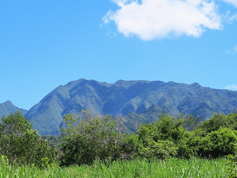 Le Dimitile vu depuis le Bras de Pontho, au Tampon : paysage contemporain, sans reconstitution de l’habitat de 1948.