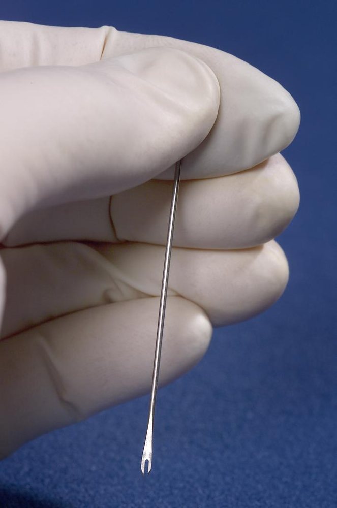 Extrémité d’une aiguille bifurquée pour la vaccination antivariolique. Document des CDC, domaine public ; un outil des campagnes modernes, pas celui de Reydellet.