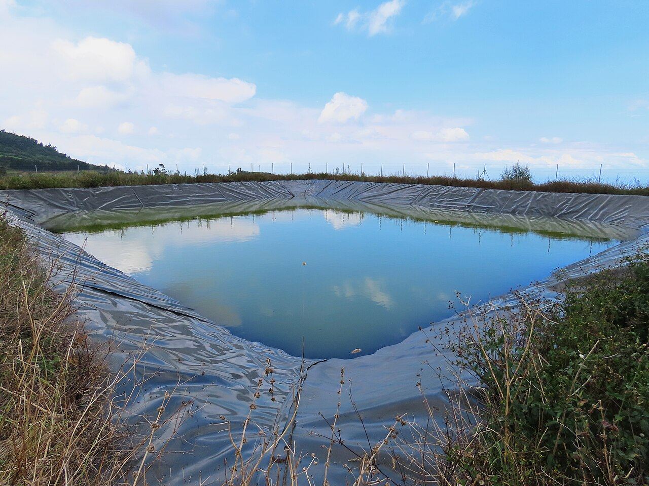 Bassin agricole bâché, à demi rempli, au milieu de pâturages à la Plaine des Cafres.