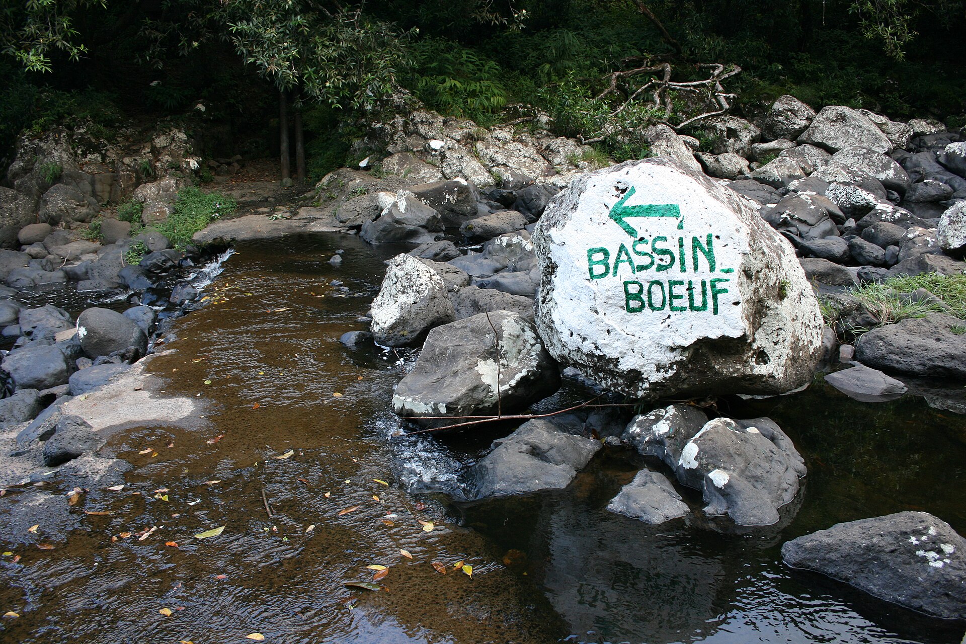 Pierre au Bassin Bœuf, Sainte-Suzanne.