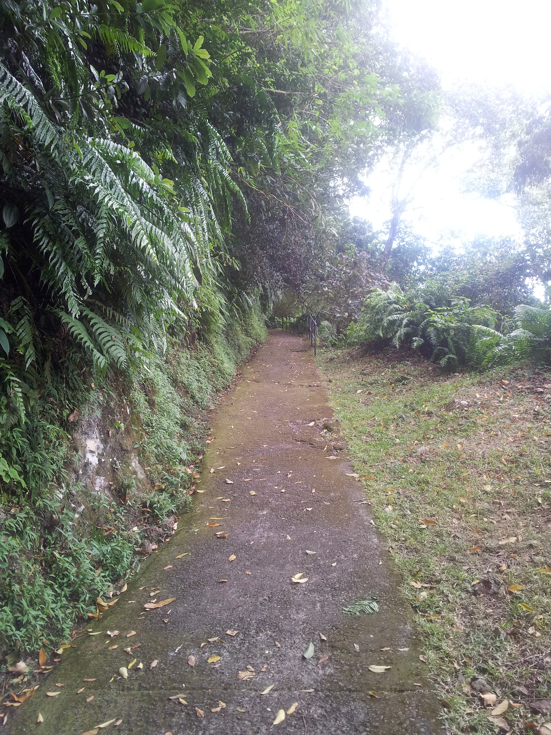 Le chemin de Bethléem.