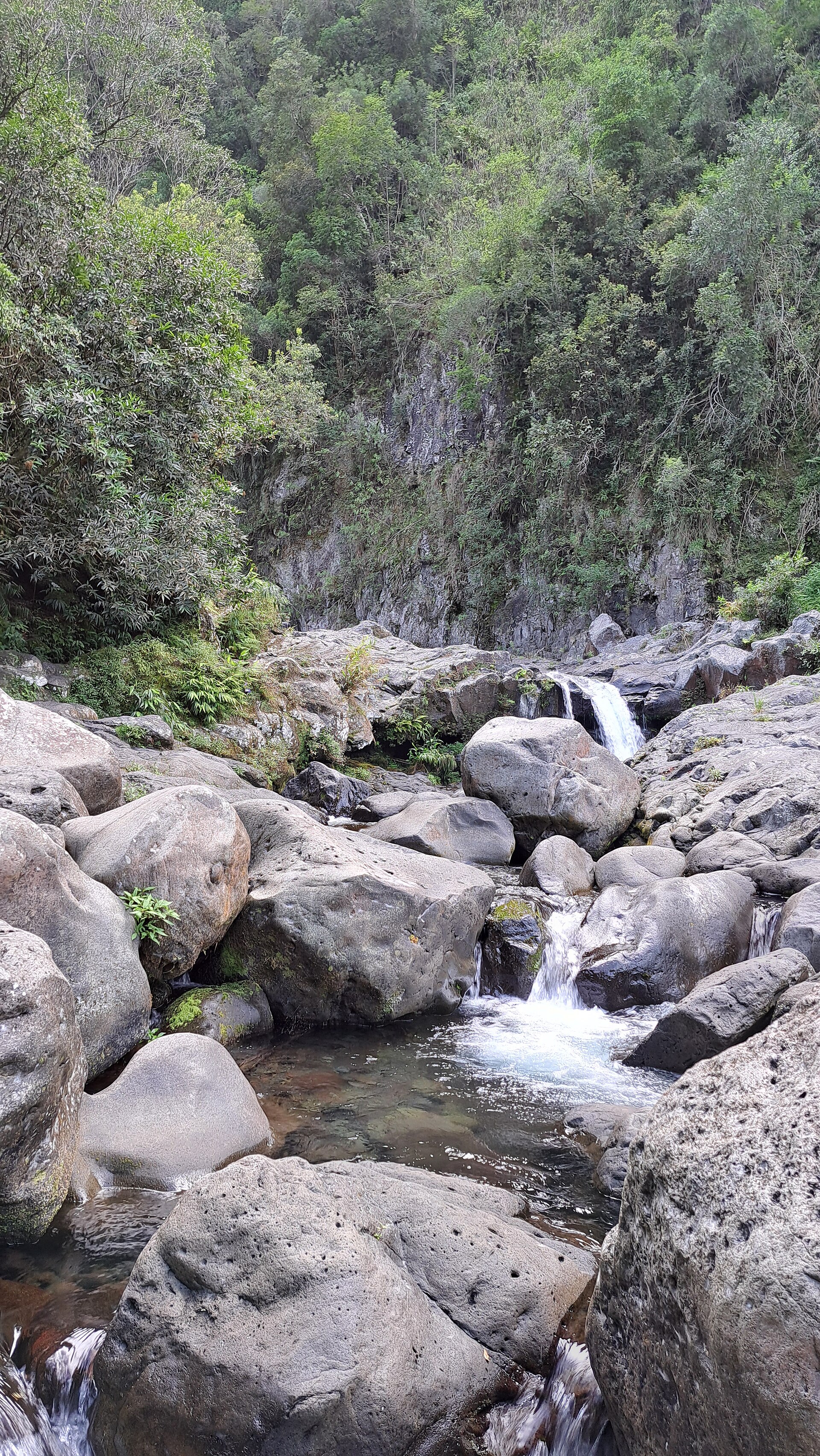 Cascade sur la rivière Langevin.