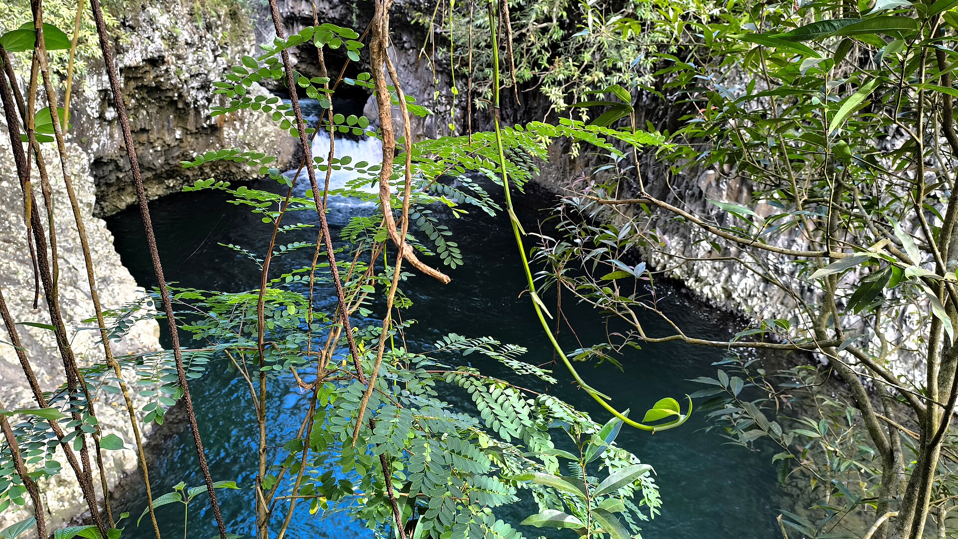 Le Bassin La Mer, sur la Rivière des Roches.