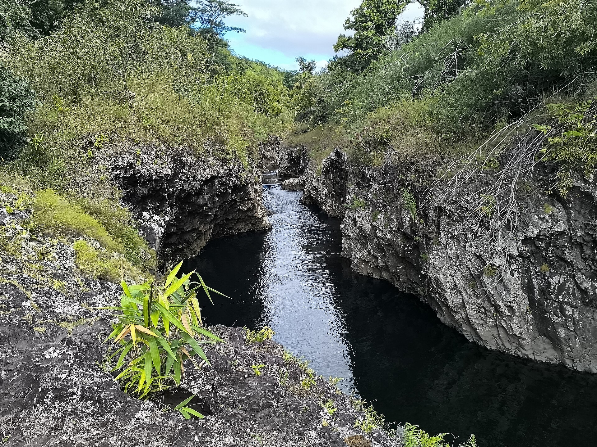 Canyon et prismes de basalte de la Rivière des Roches.