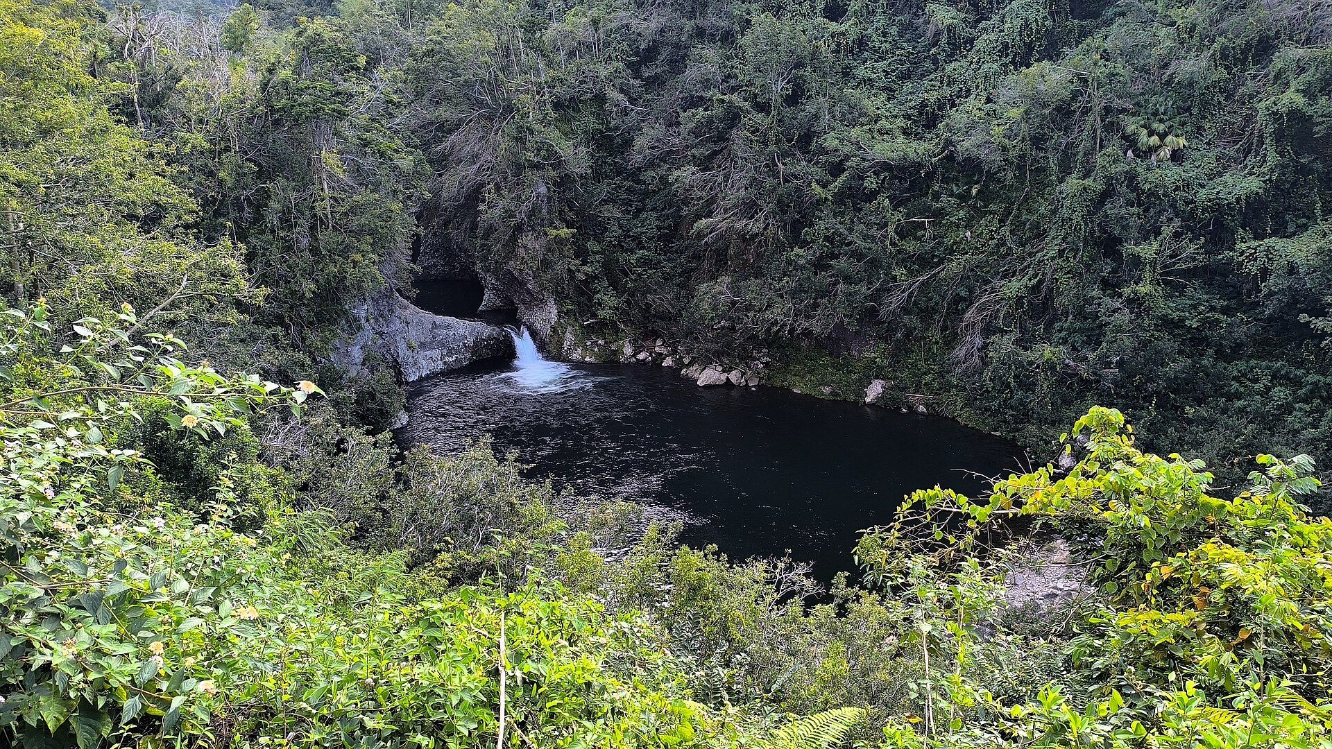 La Rivière des Roches, à Saint-Benoît.