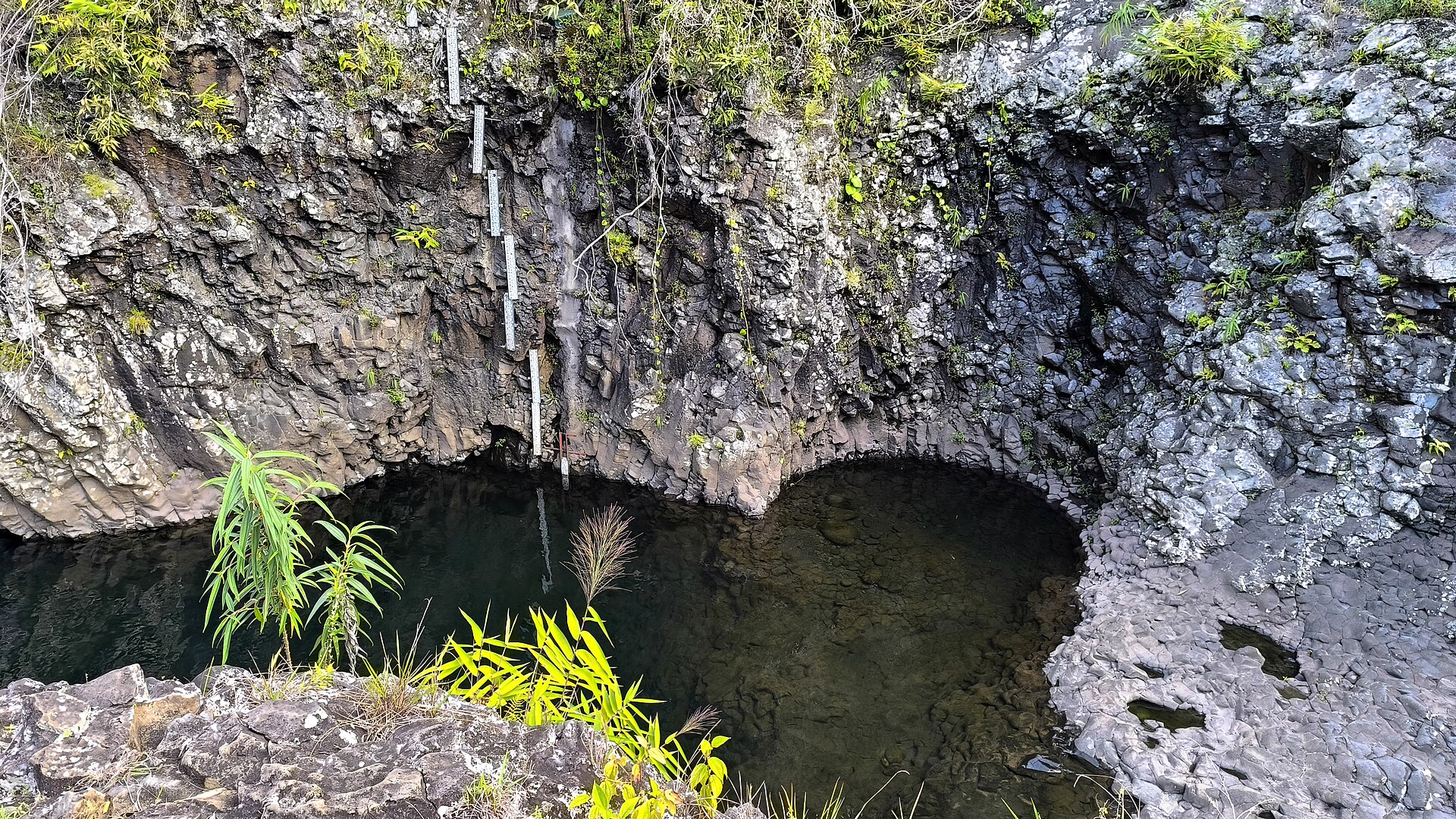 Échelle limnimétrique sur les orgues basaltiques de la Rivière des Roches.