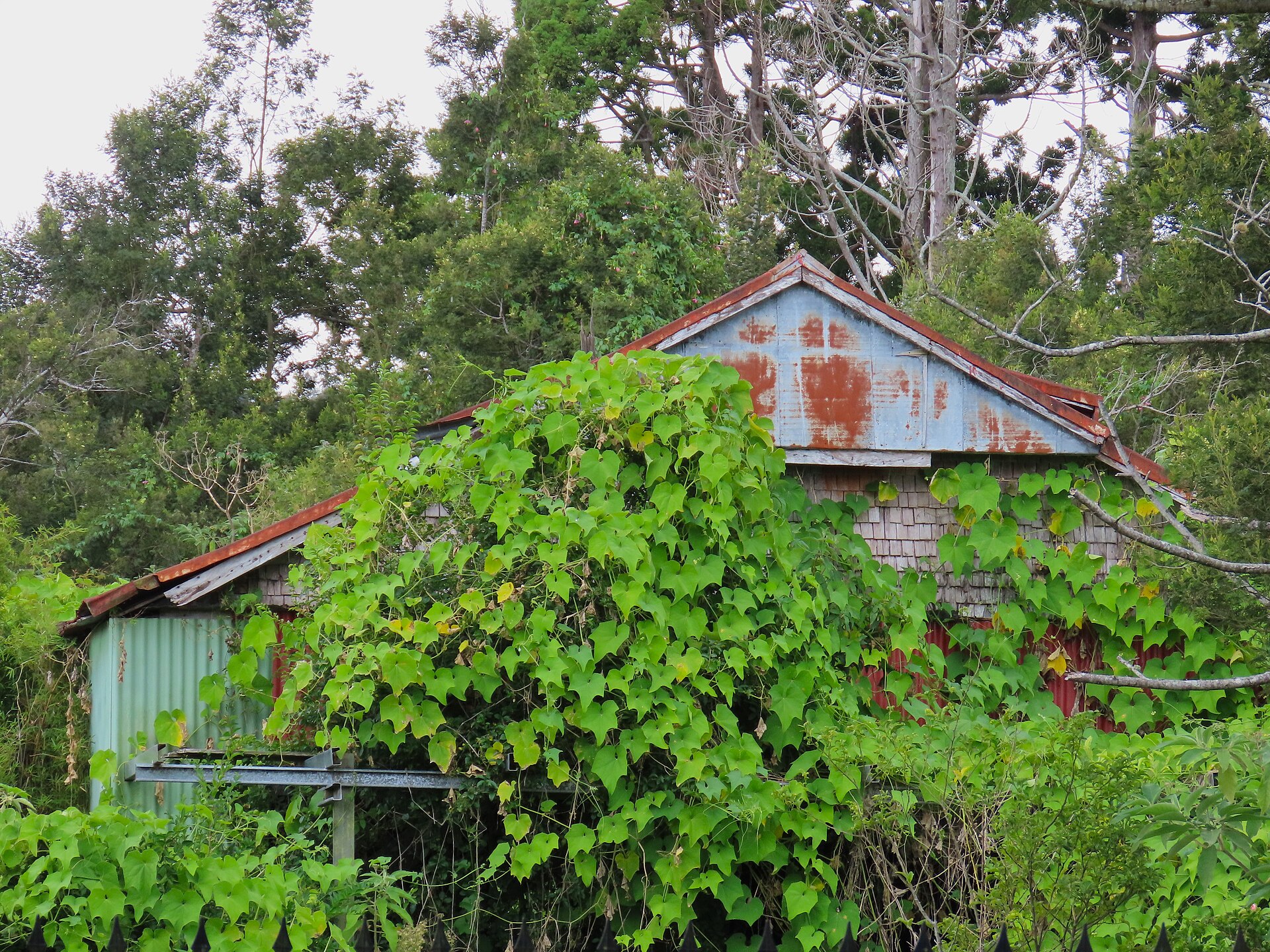 Cases créoles à Bois Court, dans les Hauts de l’Entre-Deux.