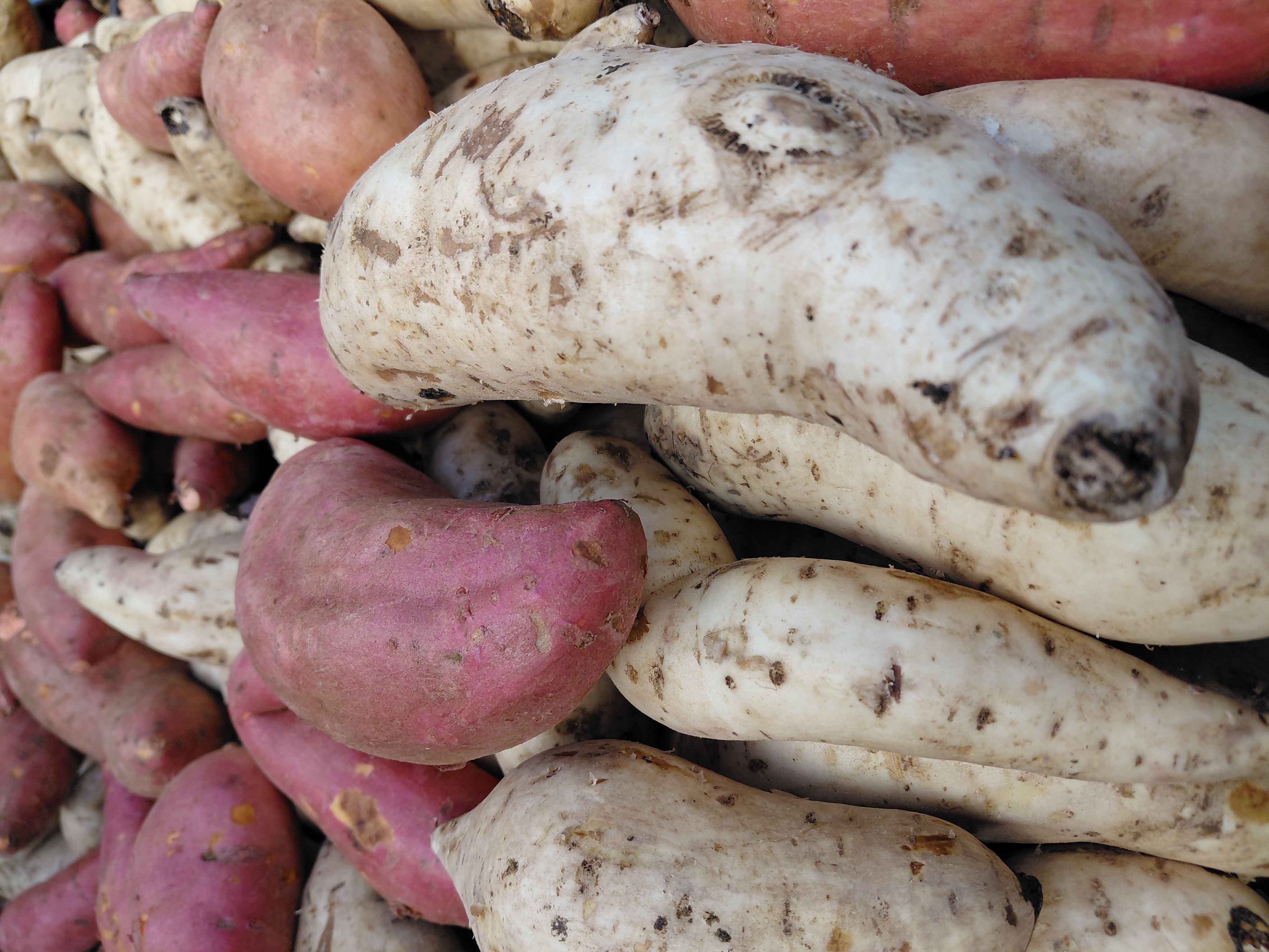 La patate douce fait partie des racines et tubercules de la cuisine vivrière.