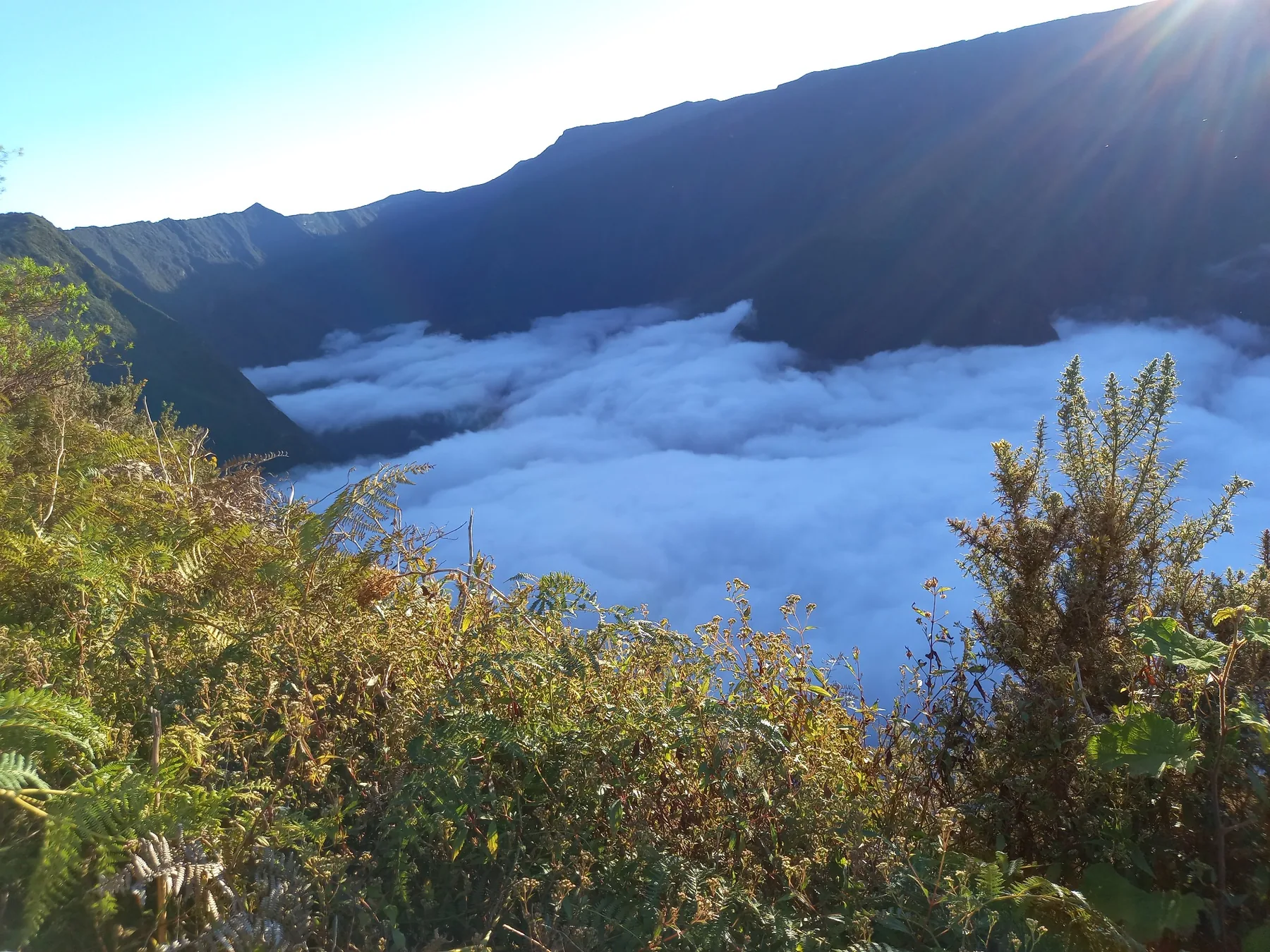Mer de nuages dans les Hauts de La Réunion