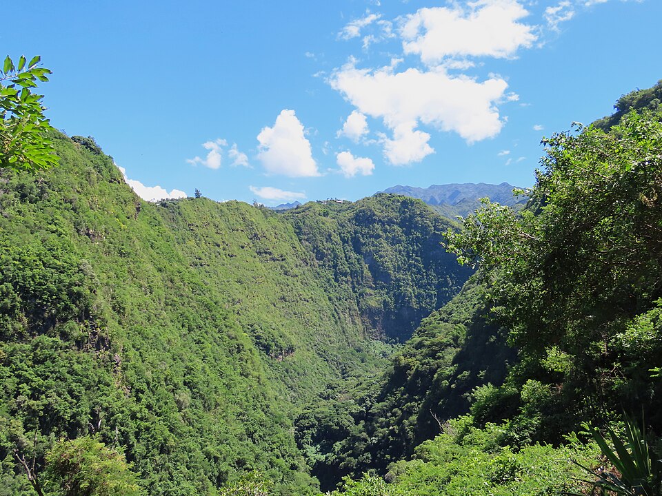 Ravine des Citrons vue depuis le sentier Charles-Payet, Entre-Deux