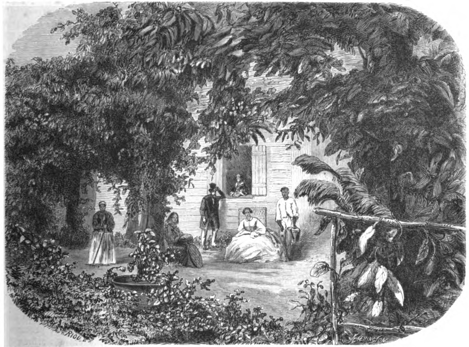 Jardin du boulevard Doret à Saint-Denis, gravure d’Édouard Riou, 1862.