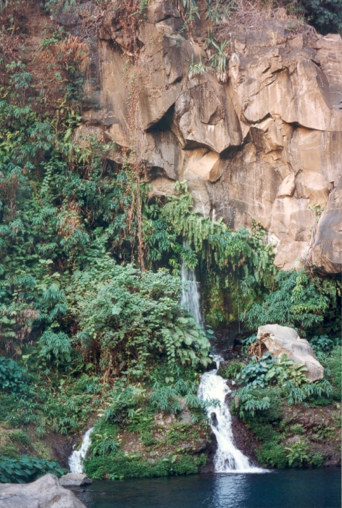 Cascade et vasque du bassin des Aigrettes.