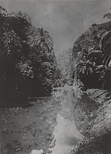 Ravine Bernica photographiée par Henri Georgi en 1889.