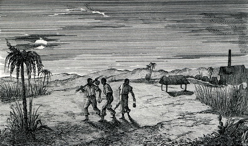 Illustration de 1844 pour le livre Les Marrons de Louis Timagène Houat
