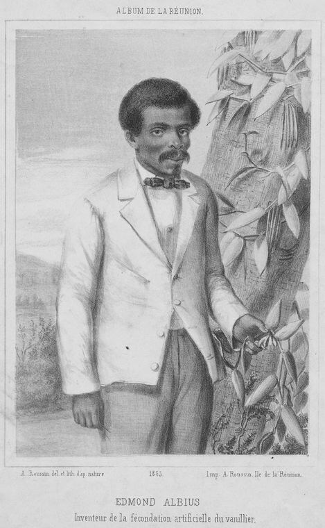 Edmond Albius dans une lithographie de 1863 : un portrait réalisé à l’âge adulte, bien après sa découverte de 1841.