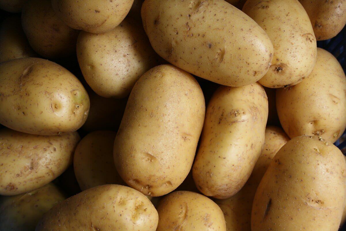 Tubercules et racines